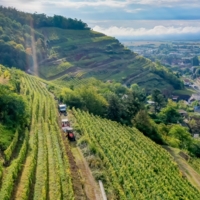 Domaines Schlumberger